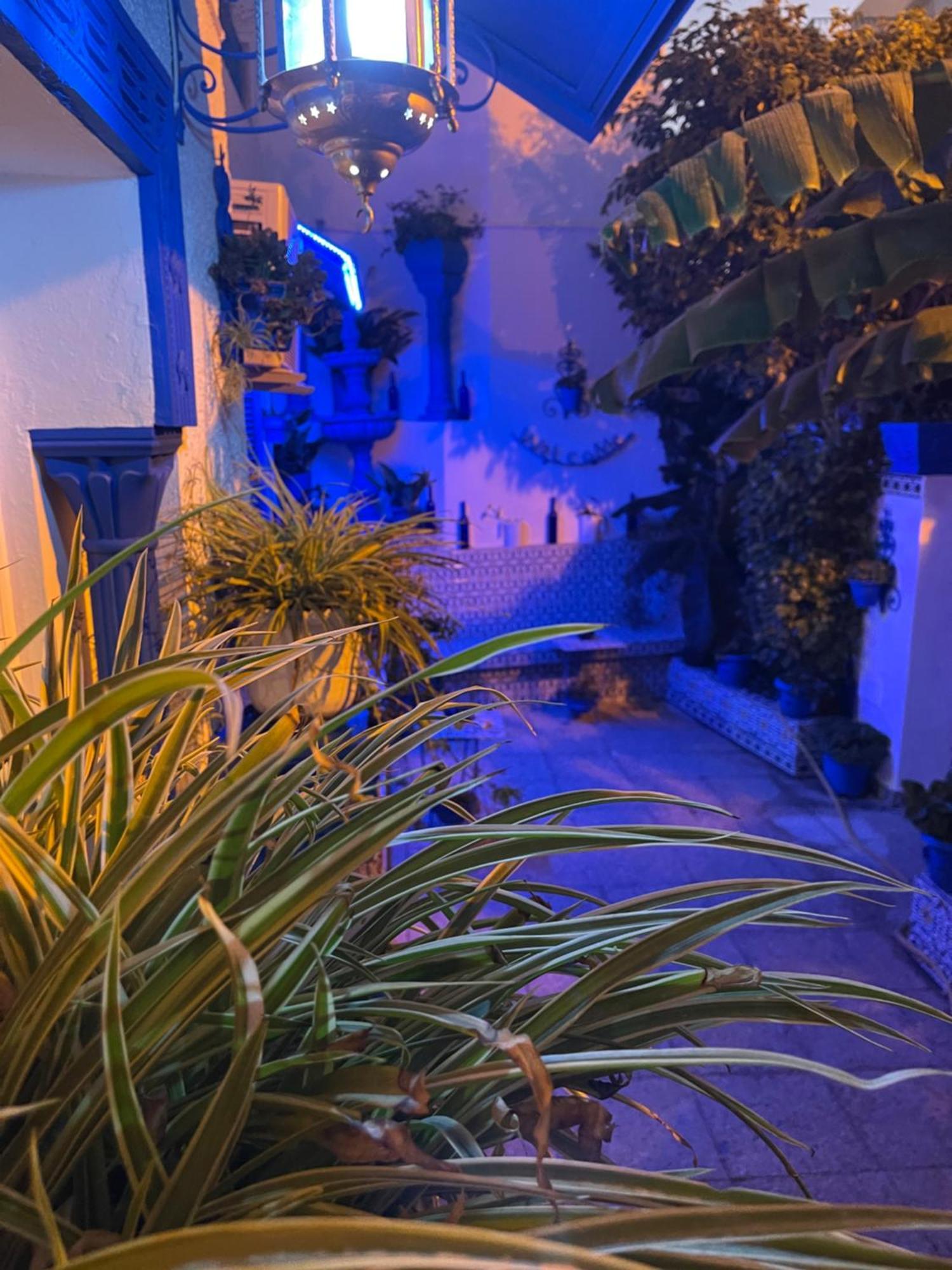 Sidi Bou AliThe Blue And White Perle别墅 外观 照片