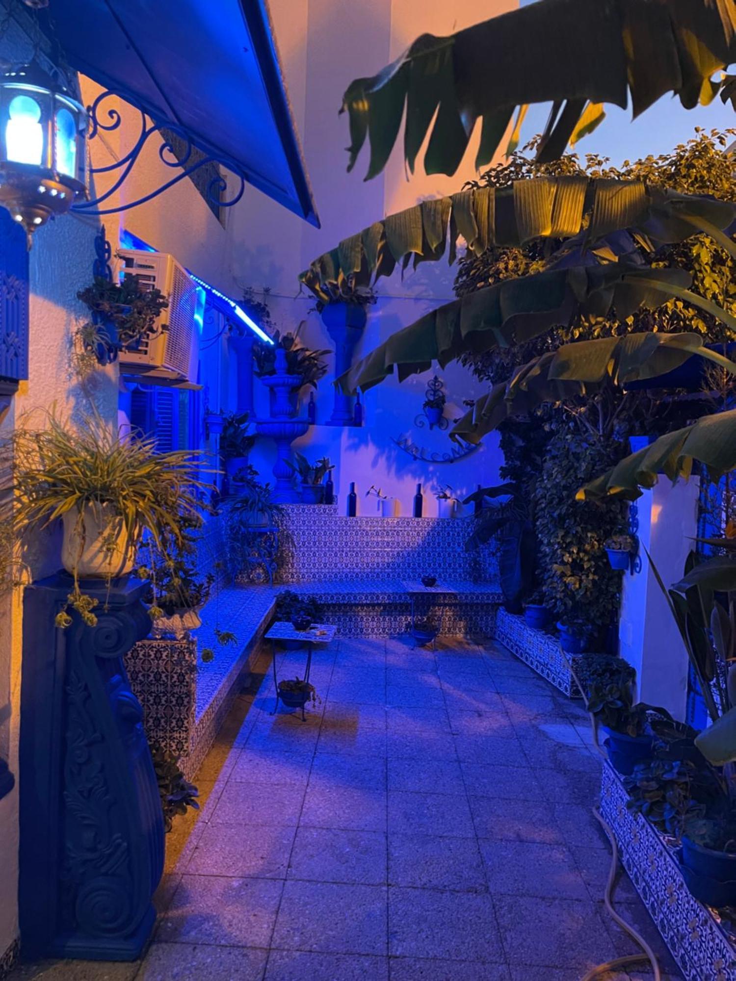 Sidi Bou AliThe Blue And White Perle别墅 外观 照片