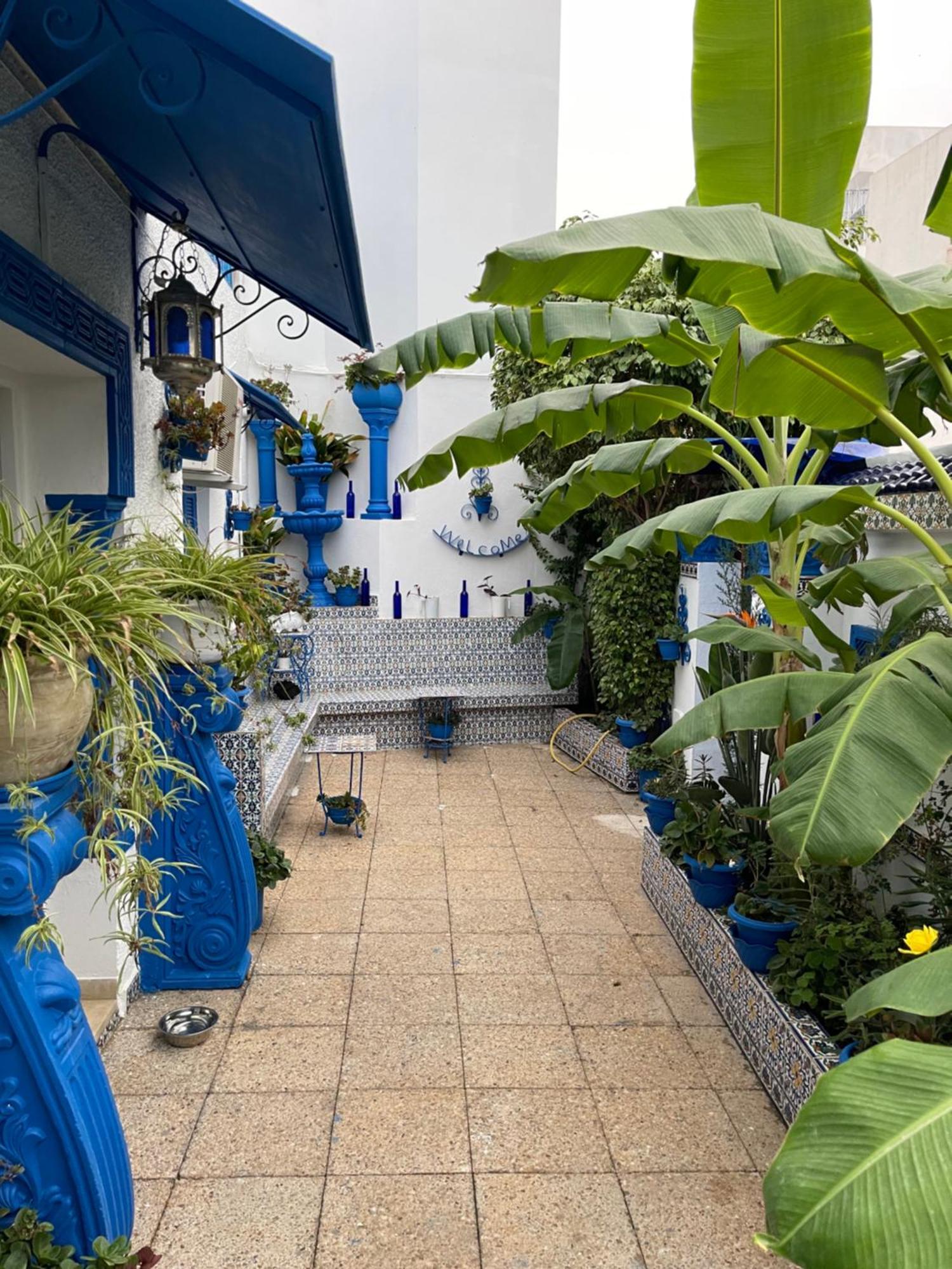 Sidi Bou AliThe Blue And White Perle别墅 外观 照片