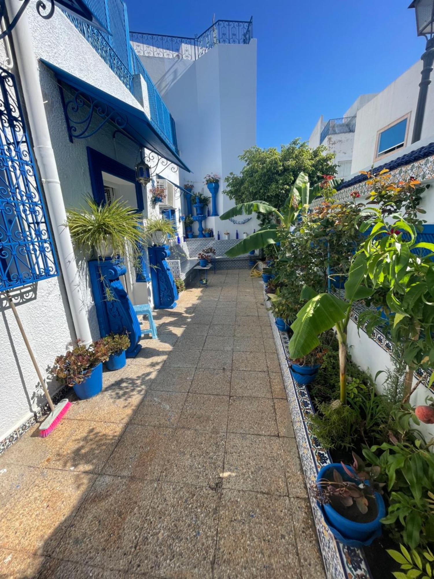 Sidi Bou AliThe Blue And White Perle别墅 外观 照片
