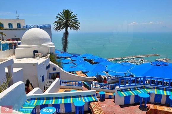 Sidi Bou AliThe Blue And White Perle别墅 外观 照片
