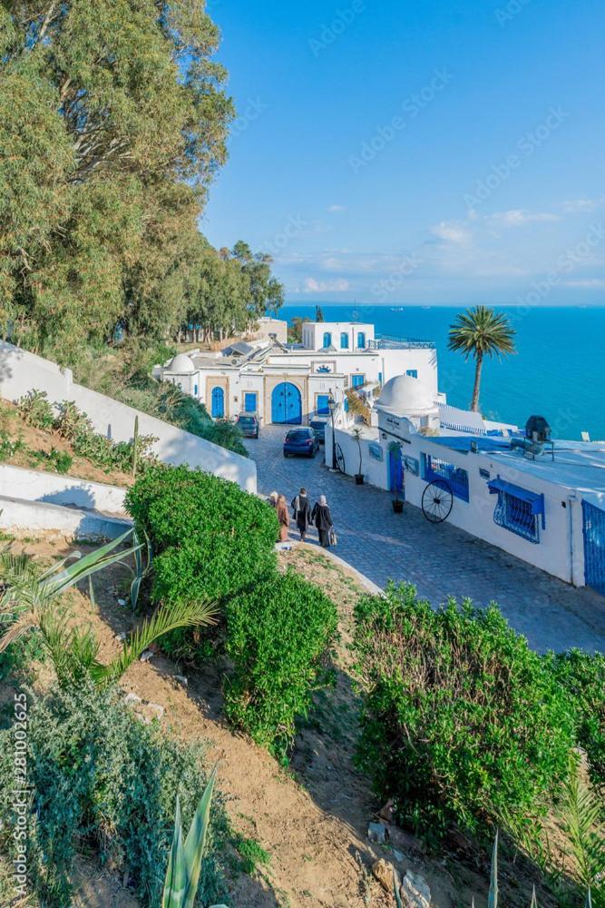 Sidi Bou AliThe Blue And White Perle别墅 外观 照片
