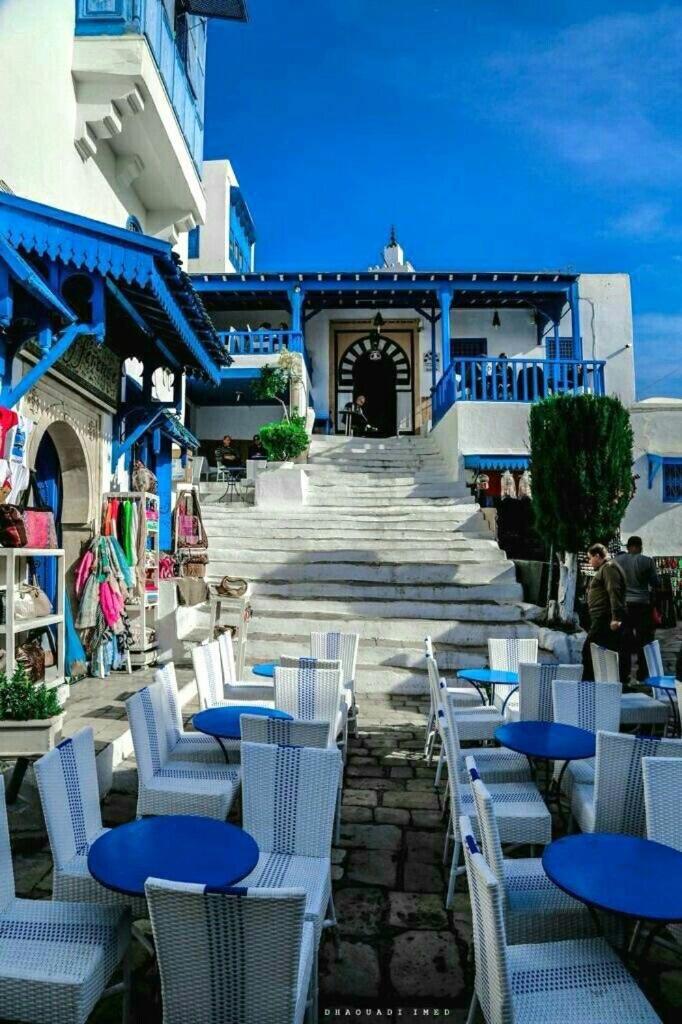 Sidi Bou AliThe Blue And White Perle别墅 外观 照片