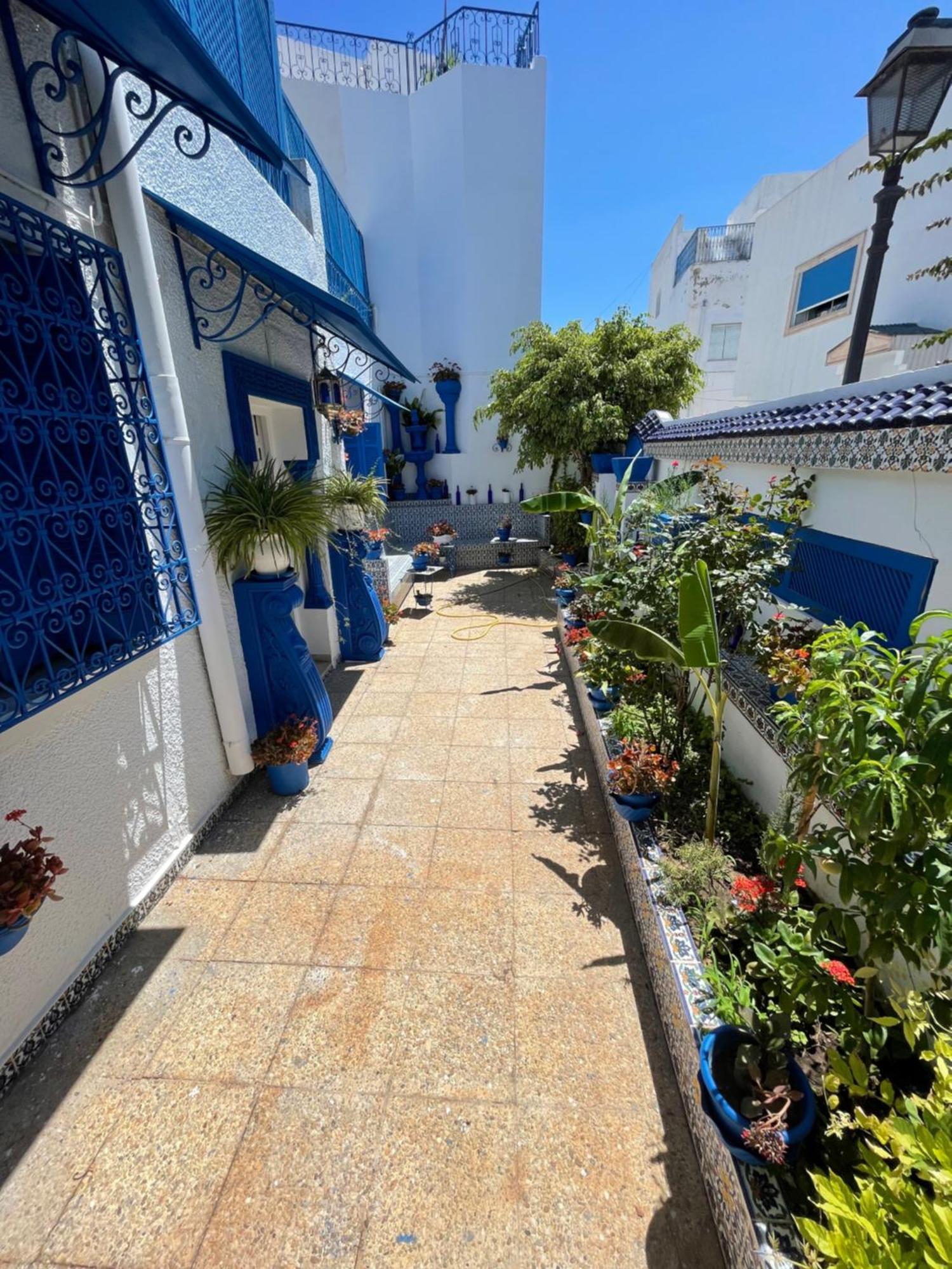 Sidi Bou AliThe Blue And White Perle别墅 外观 照片