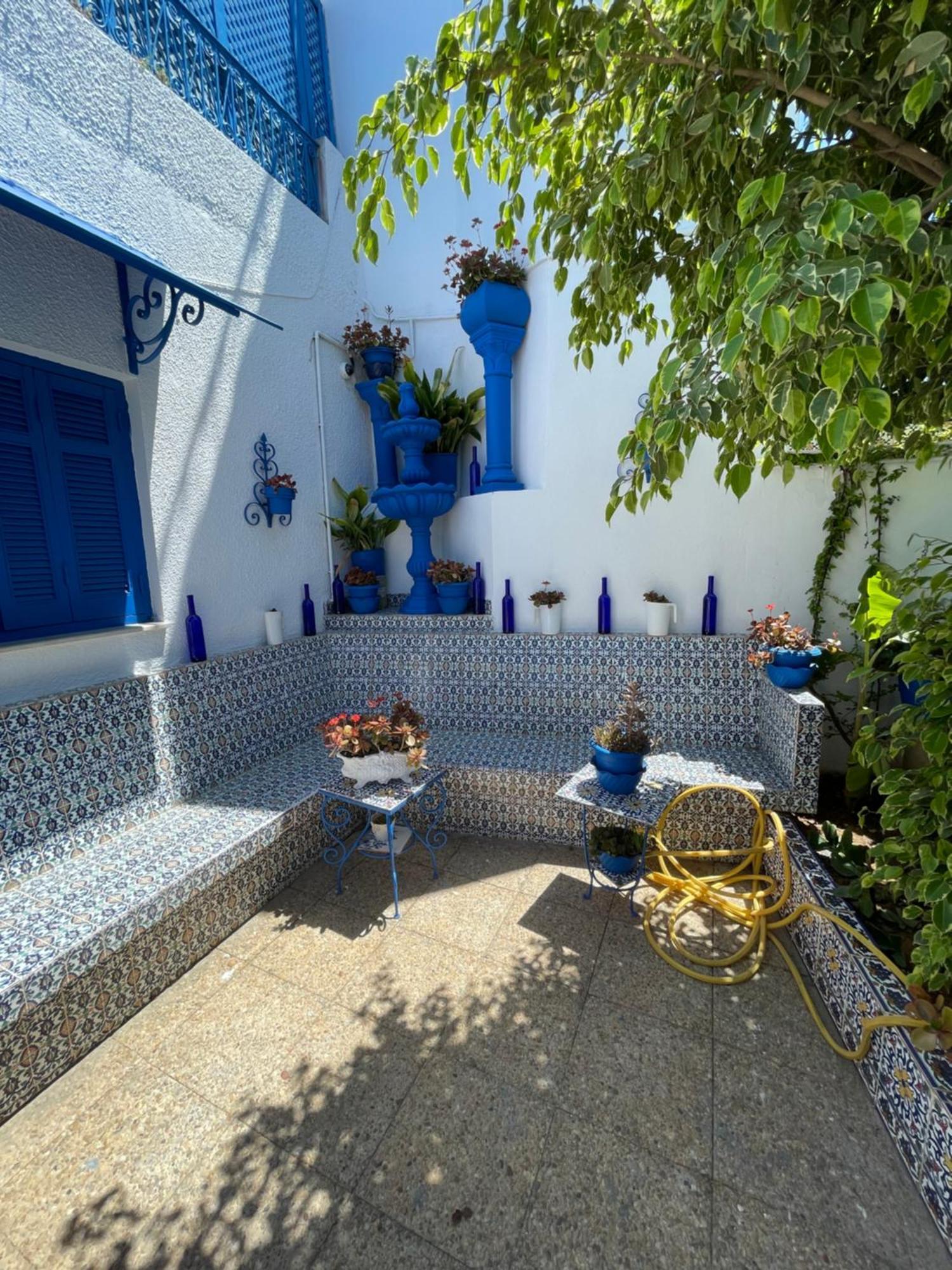 Sidi Bou AliThe Blue And White Perle别墅 外观 照片